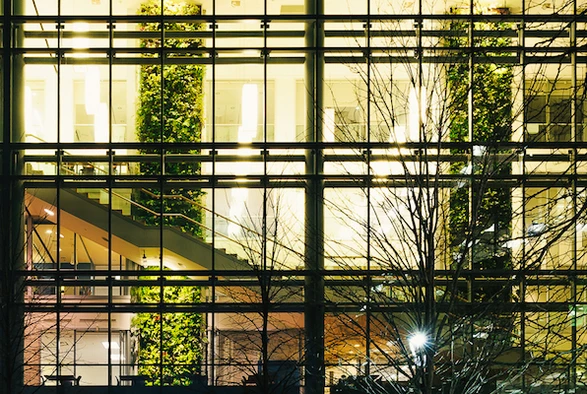 Nedlaw Living Walls image 2