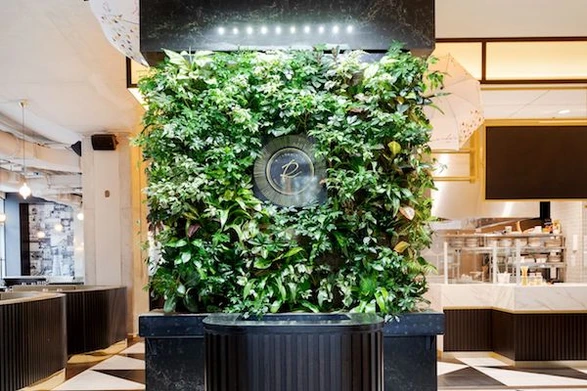 Nedlaw Living Walls image 10