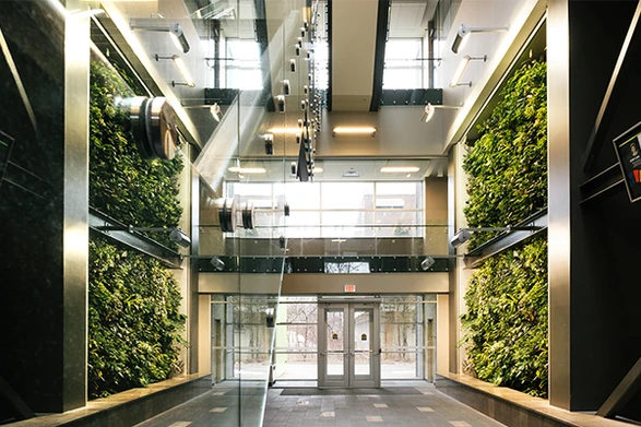 Nedlaw Living Walls image 6