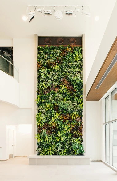 Nedlaw Living Walls image 3