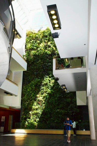 Nedlaw Living Walls image 8