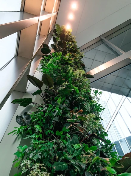 Nedlaw Living Walls image 1