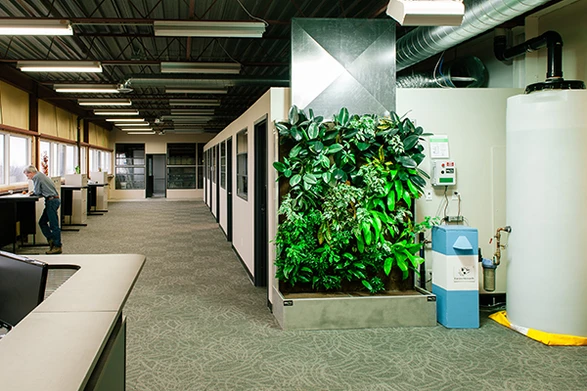 Nedlaw Living Walls image 5