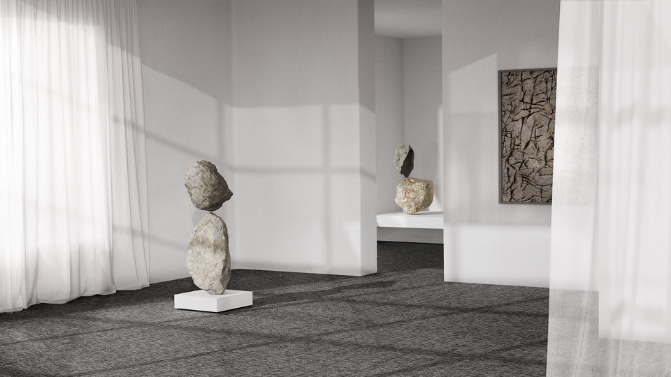 Bolon image 6