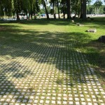 Soil Retention image 1
