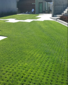 Soil Retention image 11