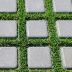 Soil Retention image 16
