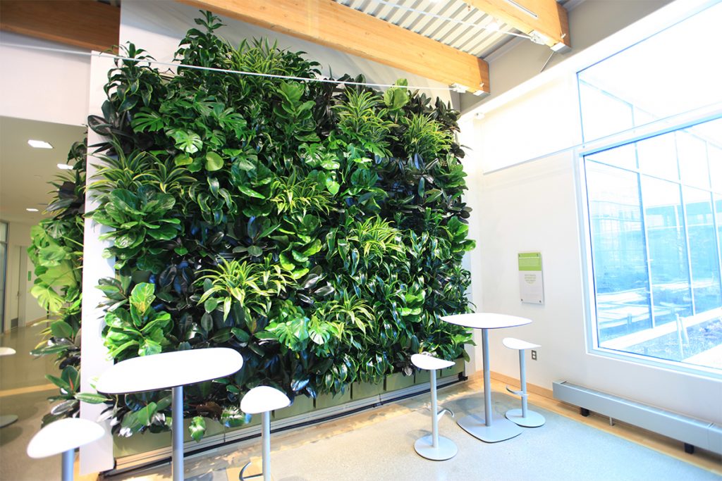 LiveWall Green Wall Systems image 15