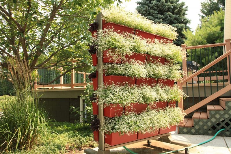 LiveWall Green Wall Systems image 11