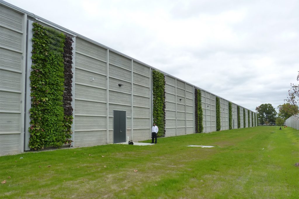 LiveWall Green Wall Systems image 4