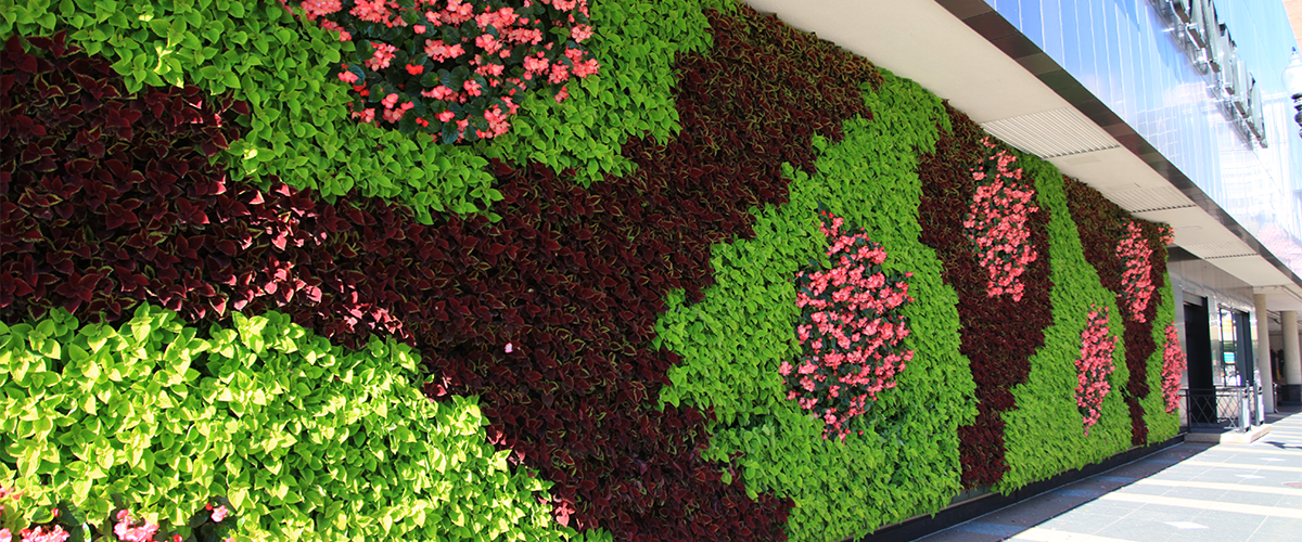 LiveWall Green Wall Systems image 3