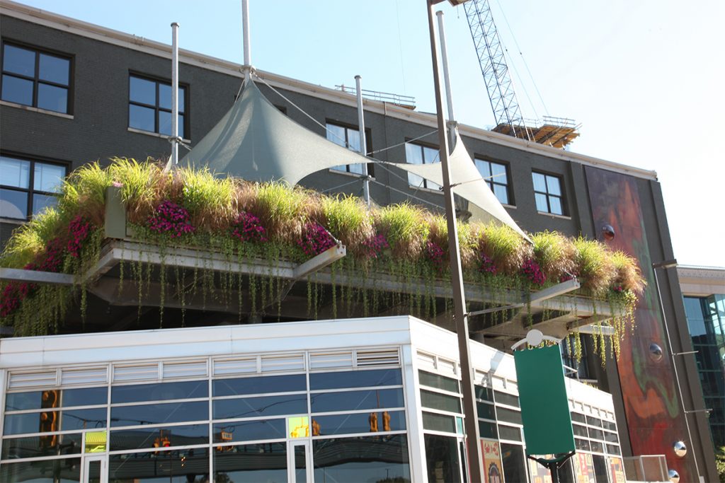 LiveWall Green Wall Systems image 5