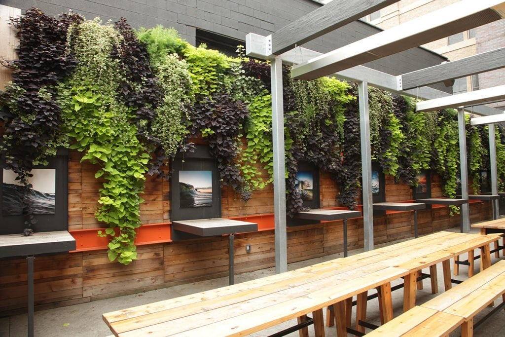 LiveWall Green Wall Systems image 8