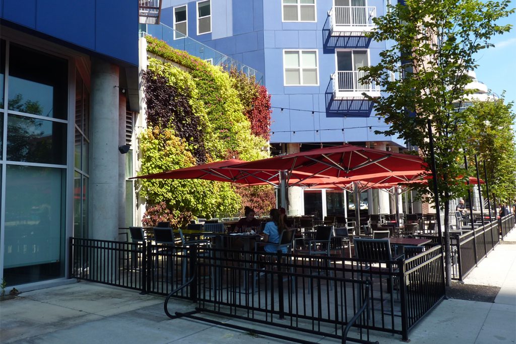 LiveWall Green Wall Systems image 13