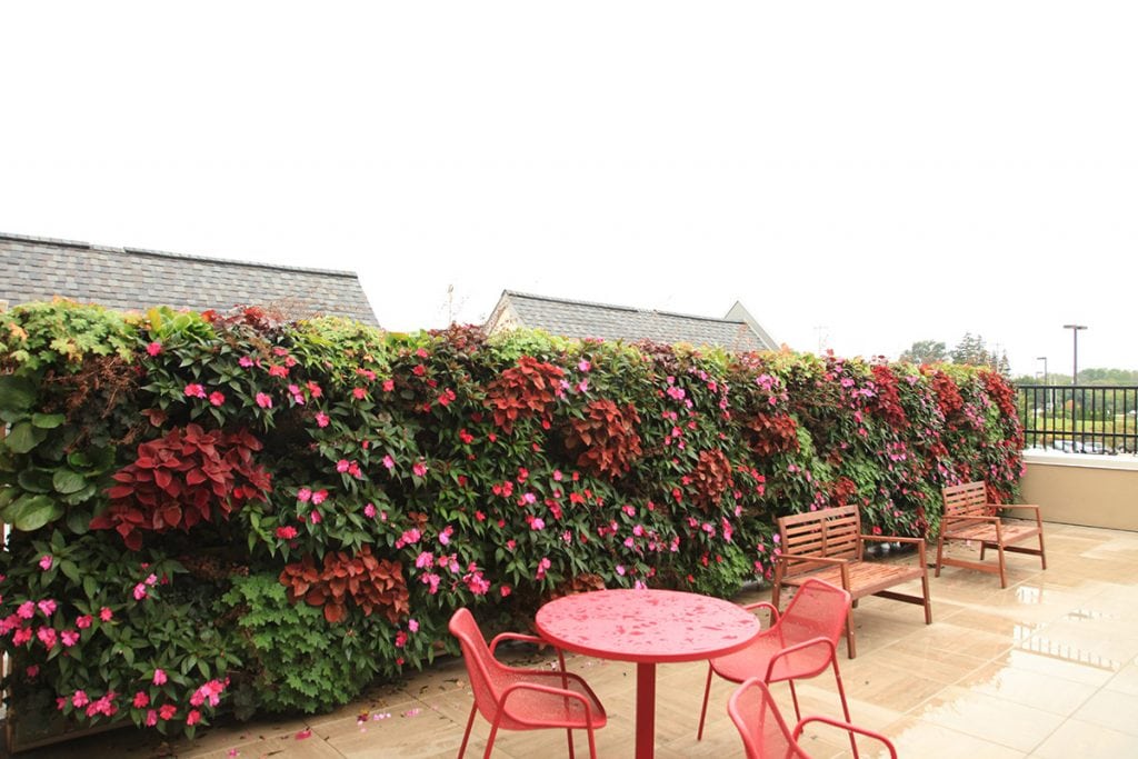 LiveWall Green Wall Systems image 9