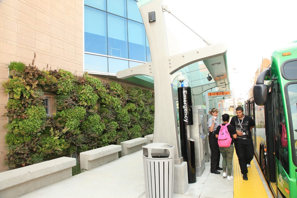 LiveWall Green Wall Systems image 1
