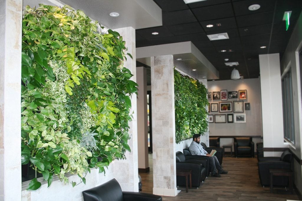 LiveWall Green Wall Systems image 2