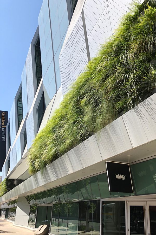 LiveWall Green Wall Systems image 10