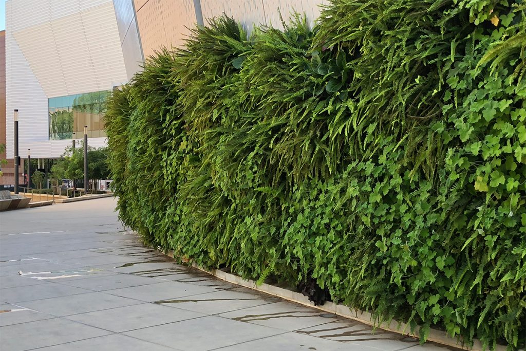 LiveWall Green Wall Systems image 14