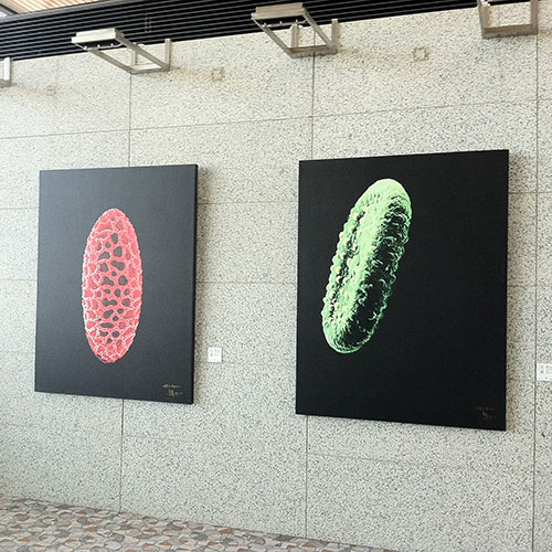Systematic Art image 5