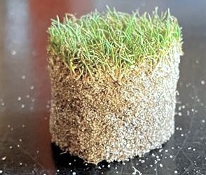 Turf Diagnostics & Design image 2