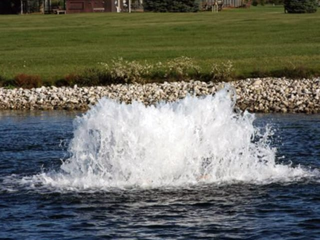 AquaMaster Fountains and Aerators image 8