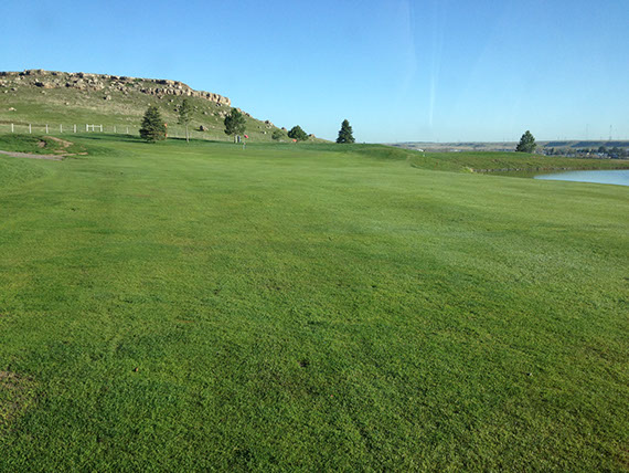 Todd Valley Farms, Inc. image 2