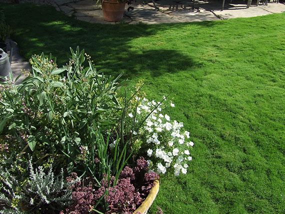 Todd Valley Farms, Inc. image 1