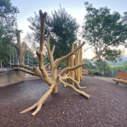 WholeTrees Architecture & Structures image 7