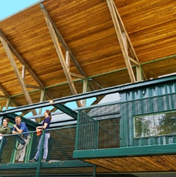 WholeTrees Architecture & Structures image 18