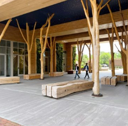WholeTrees Architecture & Structures image 11