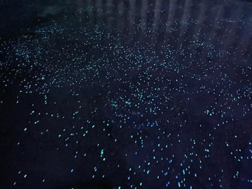 Ambient Glow Technology image 4