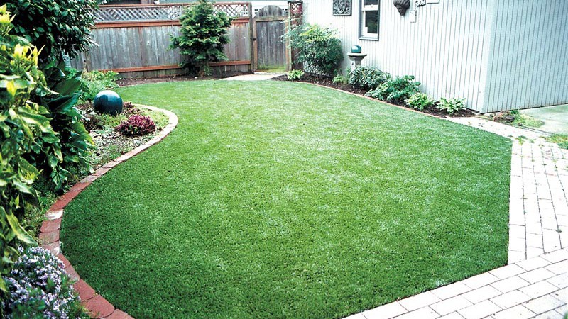 Dream Turf LLC image 5
