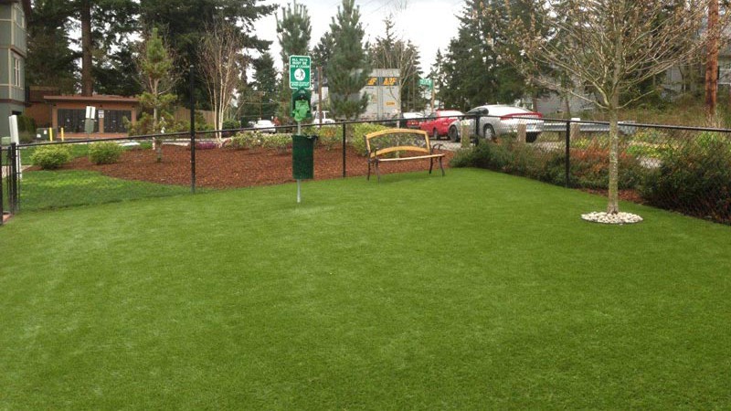 Dream Turf LLC image 6
