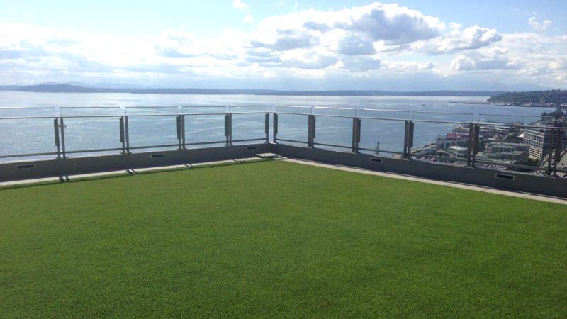 Dream Turf LLC image 2
