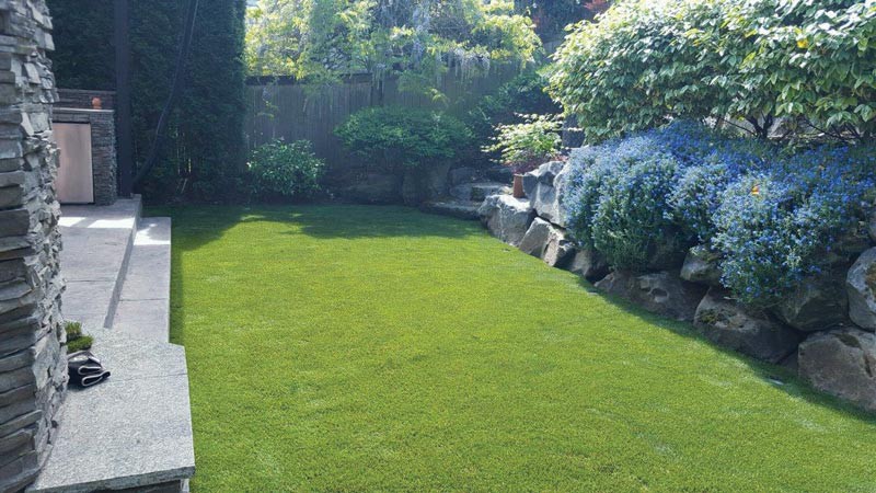Dream Turf LLC image 4