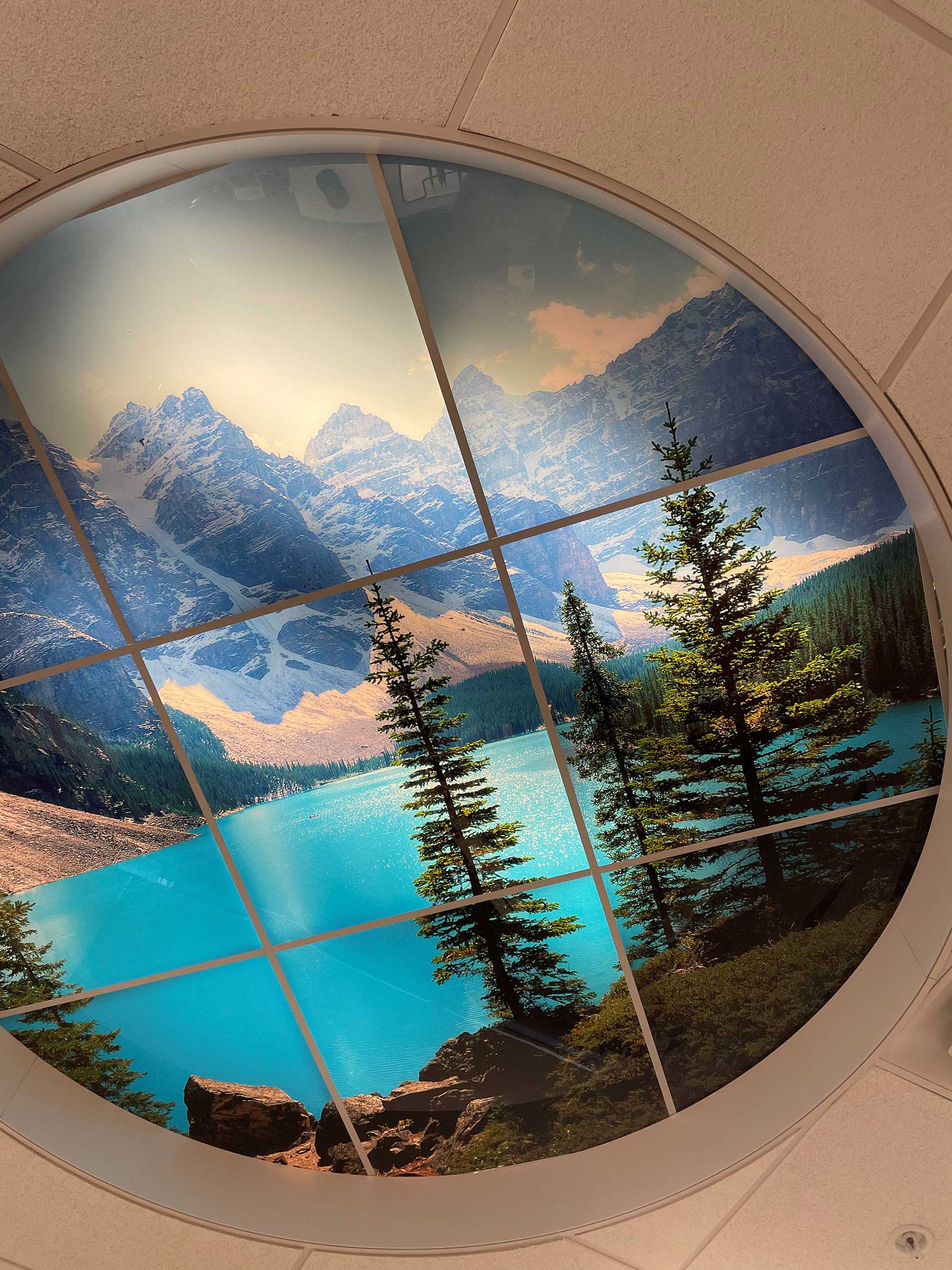 Ceiling Scenes image 4
