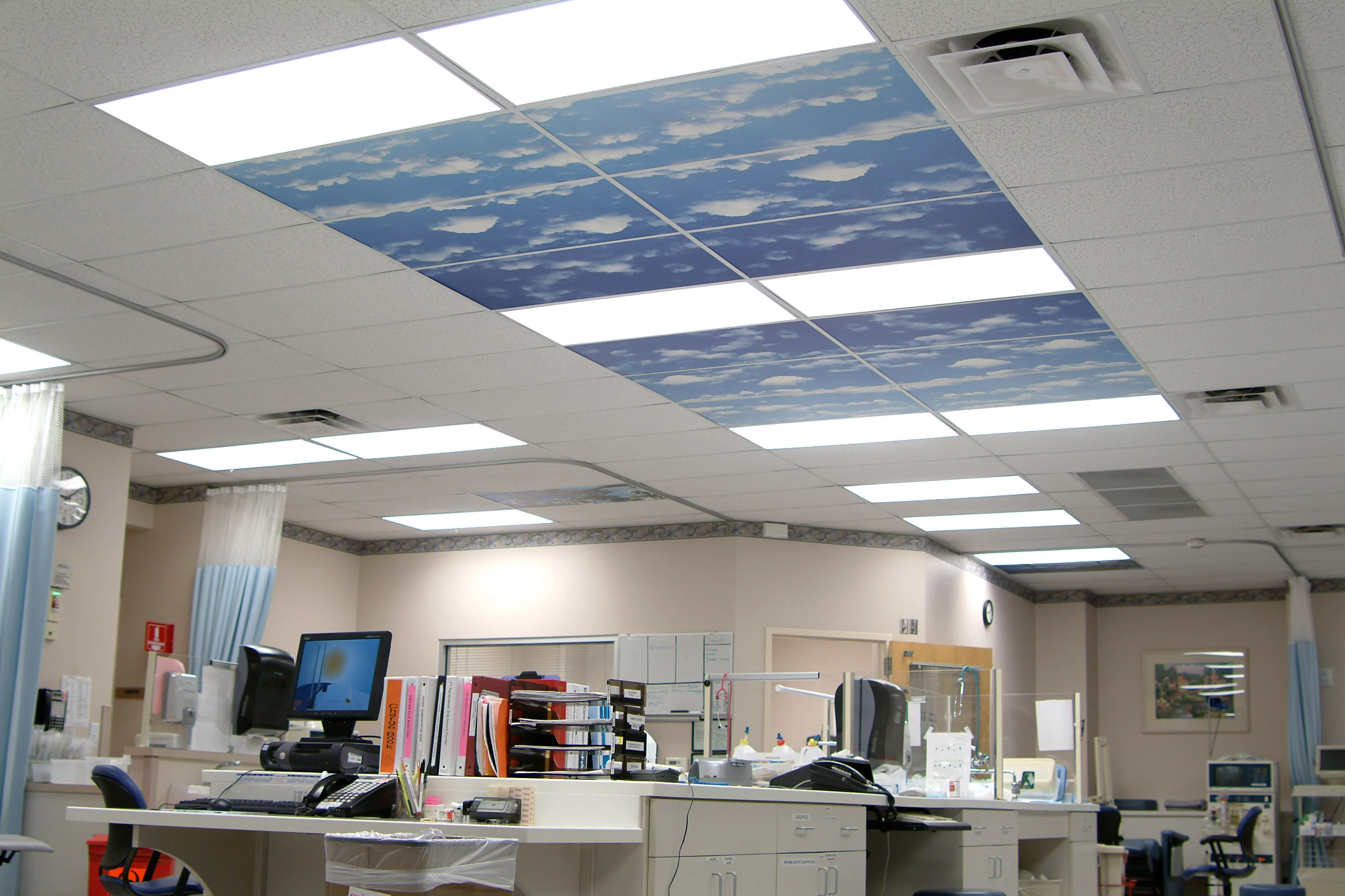 Ceiling Scenes image 9