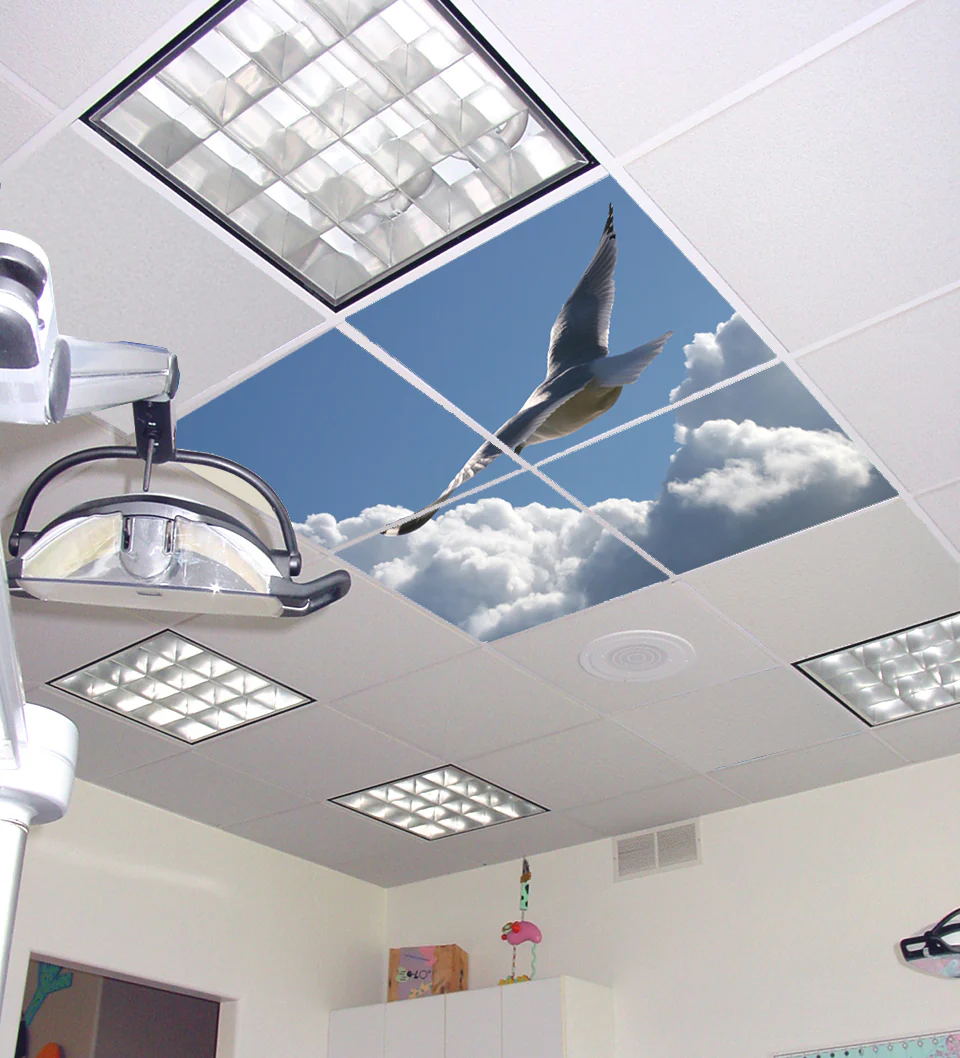 Ceiling Scenes image 3