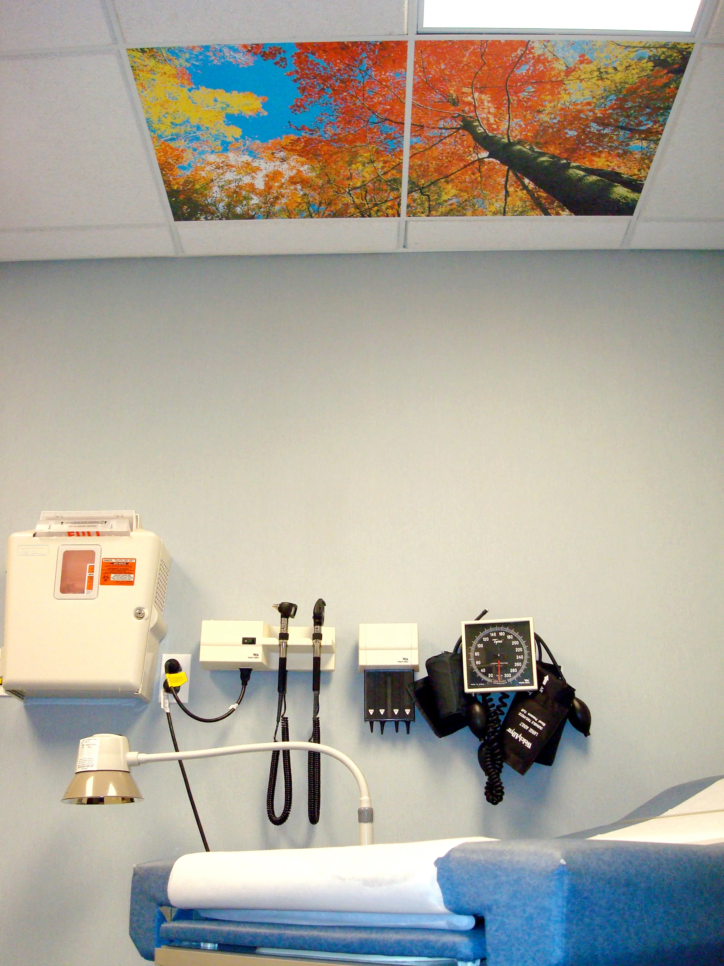 Ceiling Scenes image 8