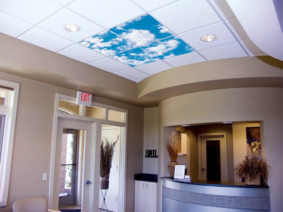 Ceiling Scenes image 7