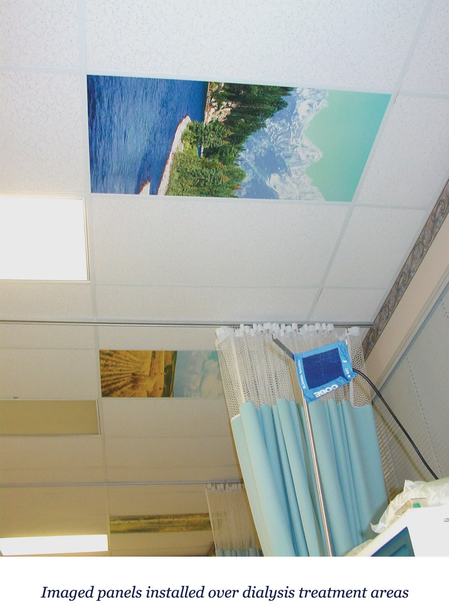 Ceiling Scenes image 6