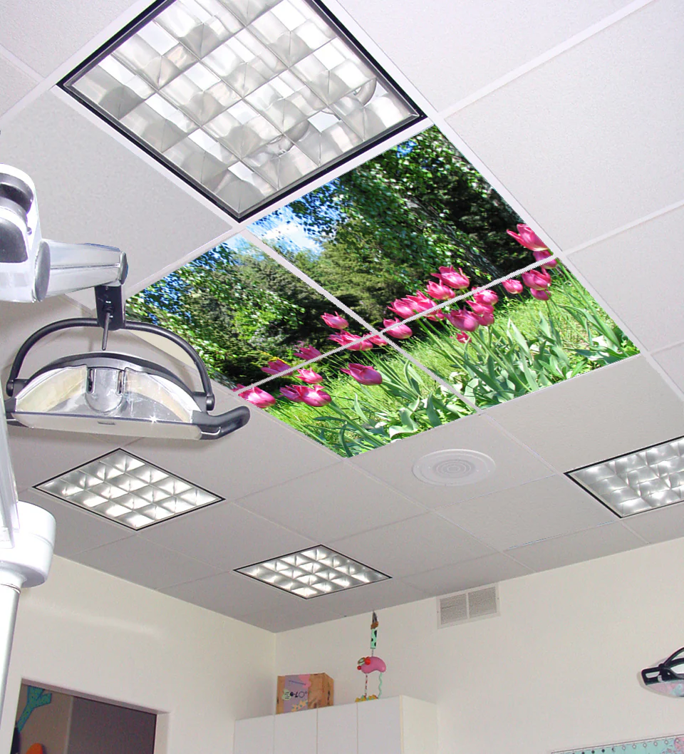 Ceiling Scenes image 1