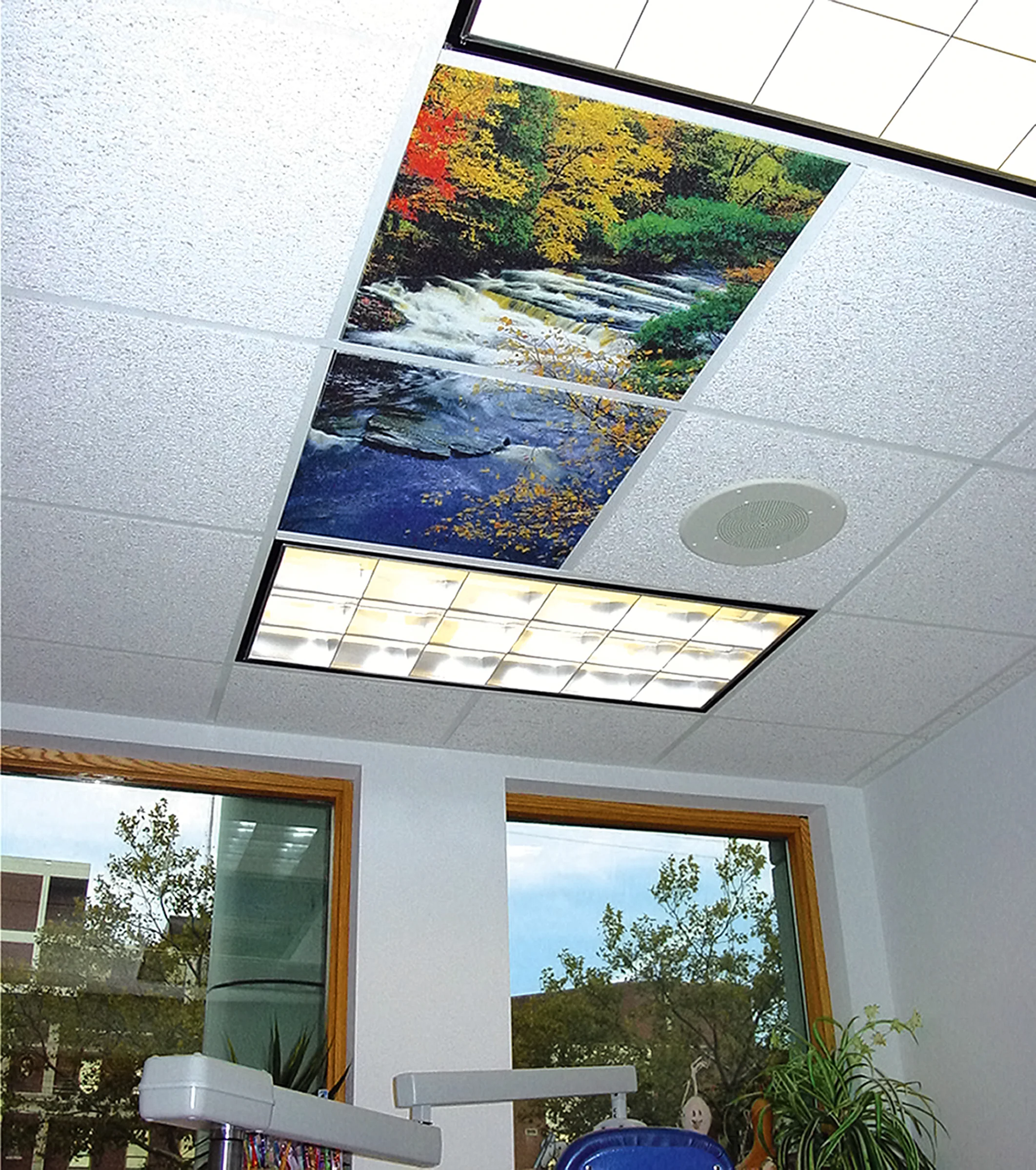 Ceiling Scenes image 2