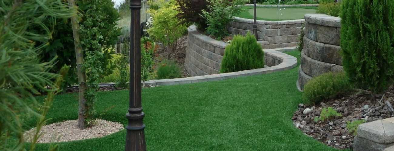 Lazy Lawn