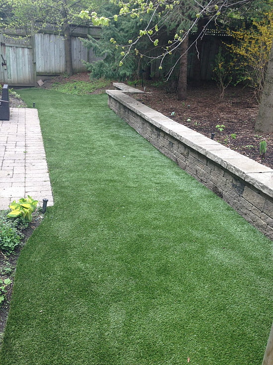 Lazy Lawn image 3