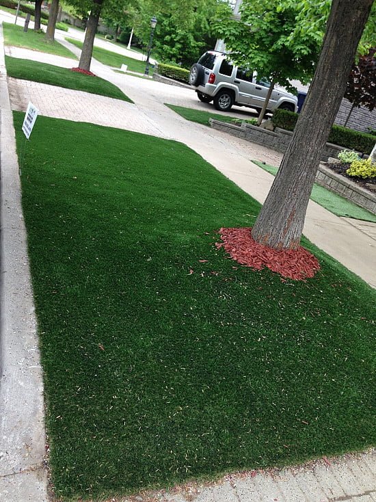 Lazy Lawn image 2