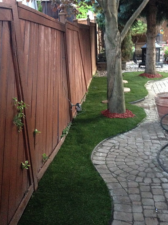 Lazy Lawn image 10