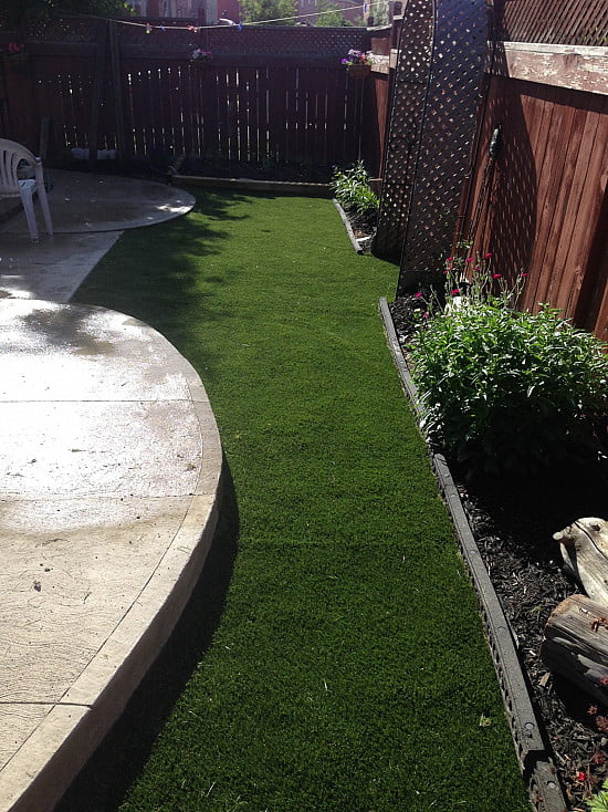 Lazy Lawn image 5