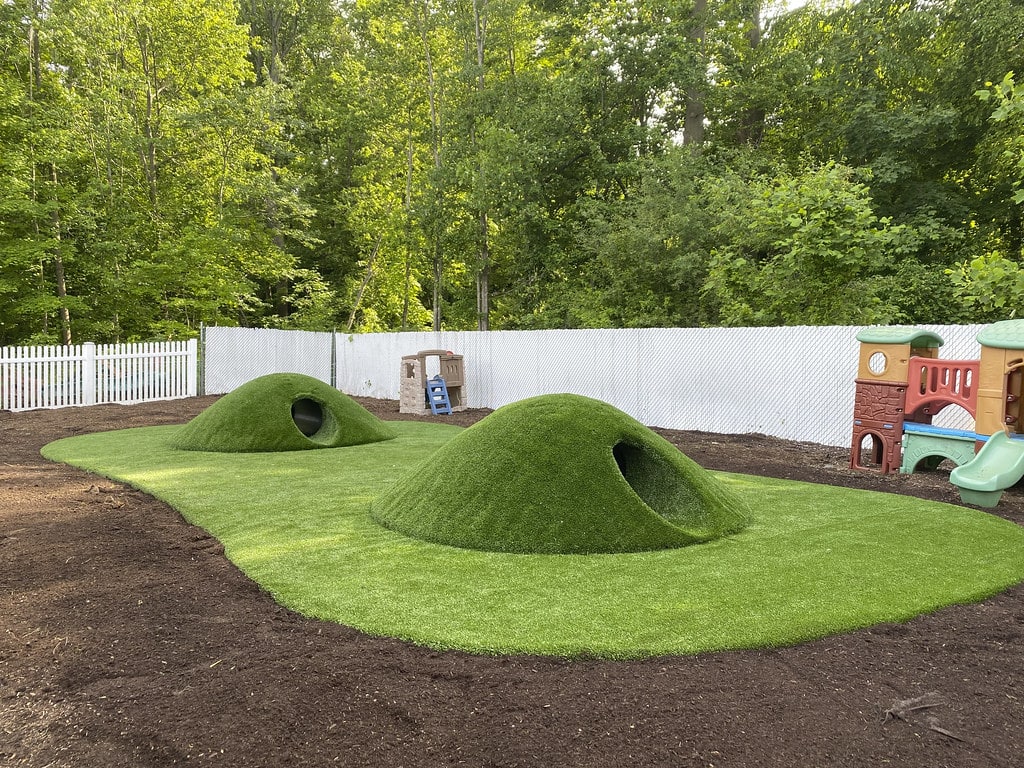 ForeverLawn image 21